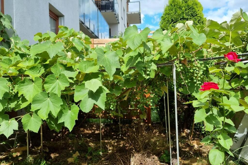 Luxury Garden Apartment ワルシャワ エクステリア 写真