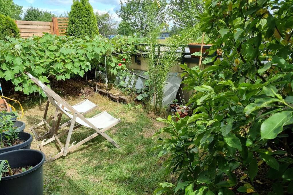 Luxury Garden Apartment ワルシャワ エクステリア 写真